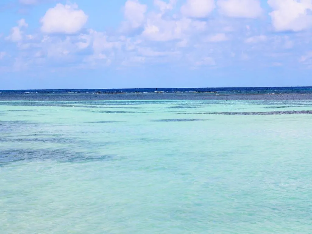 Hotel Reggae Reef All Inclusive Montego Bay
